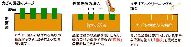 カビの浸透イメージ／通常洗浄の場合／カビ・カルキ落としの場合